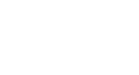 This is the white version of the Swarm Vision logo.